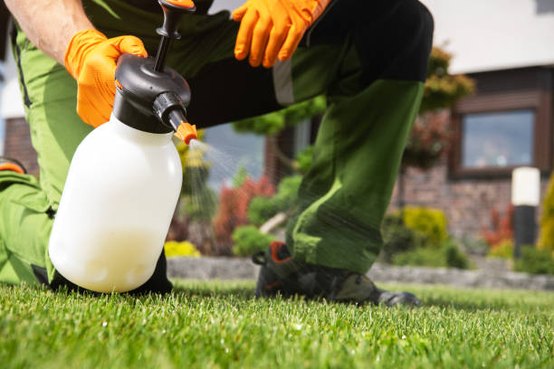 Best Bed Bug Extermination  in Yelm, WA