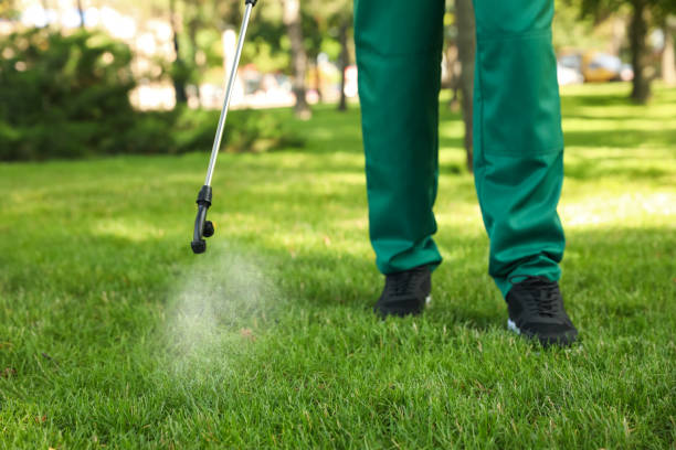Best Pest Removal Services  in Yelm, WA