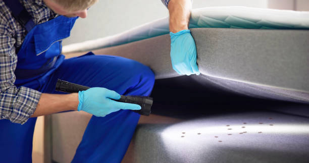 Best Emergency Pest Control  in Yelm, WA