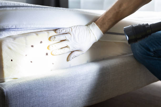Best Best Pest Control Companies  in Yelm, WA