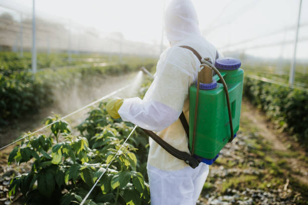 Best Flea Control Services  in Yelm, WA